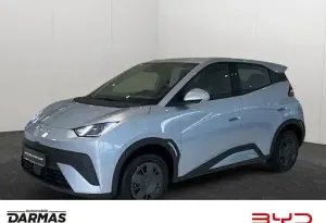 Brugt BYD Dolphin Surf