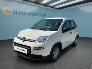 Usata Fiat Panda