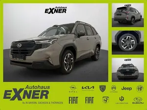 Second-hand Subaru Forester