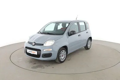 Usata Fiat Panda Easy 69 CV (50 kW) 2019 Grigio Utilitaria