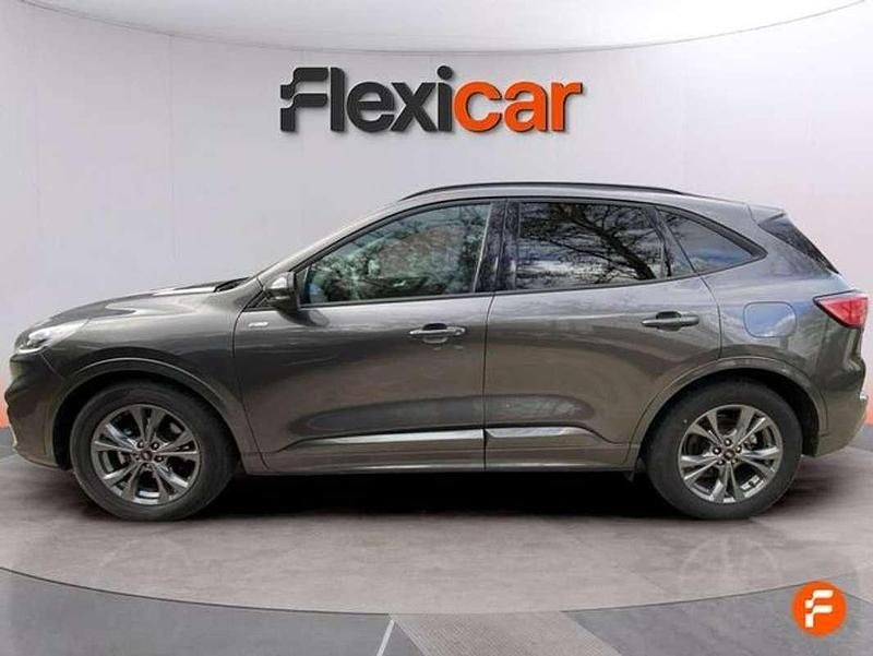 Usado Ford Kuga ST-Line 182 CV (133 kW) 2024 Gris SUV