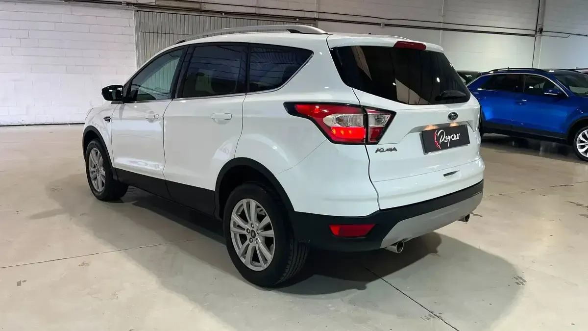 Usado Ford Kuga Trend+ 120 CV (88 kW) 2019 Blanco SUV