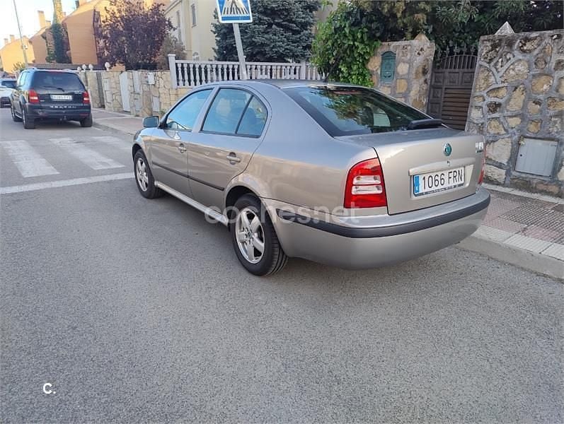 Usado Skoda Octavia Tour 101 CV (74 kW) 2007 Beige Berlina