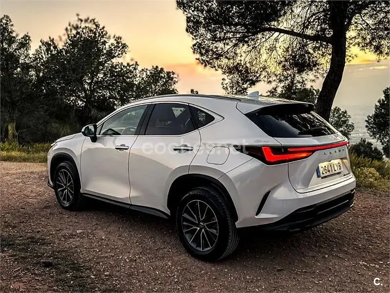 Usado Lexus NX350h Executive Line 242 CV (177 kW) 2022 Blanco SUV