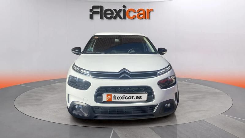 Usado Citroën C4 Cactus Feel 102 CV (75 kW) 2019 Blanco Utilitario