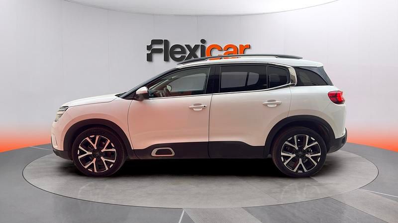 Usado Citroën C5 Aircross Feel 131 CV (96 kW) 2019 Blanco SUV