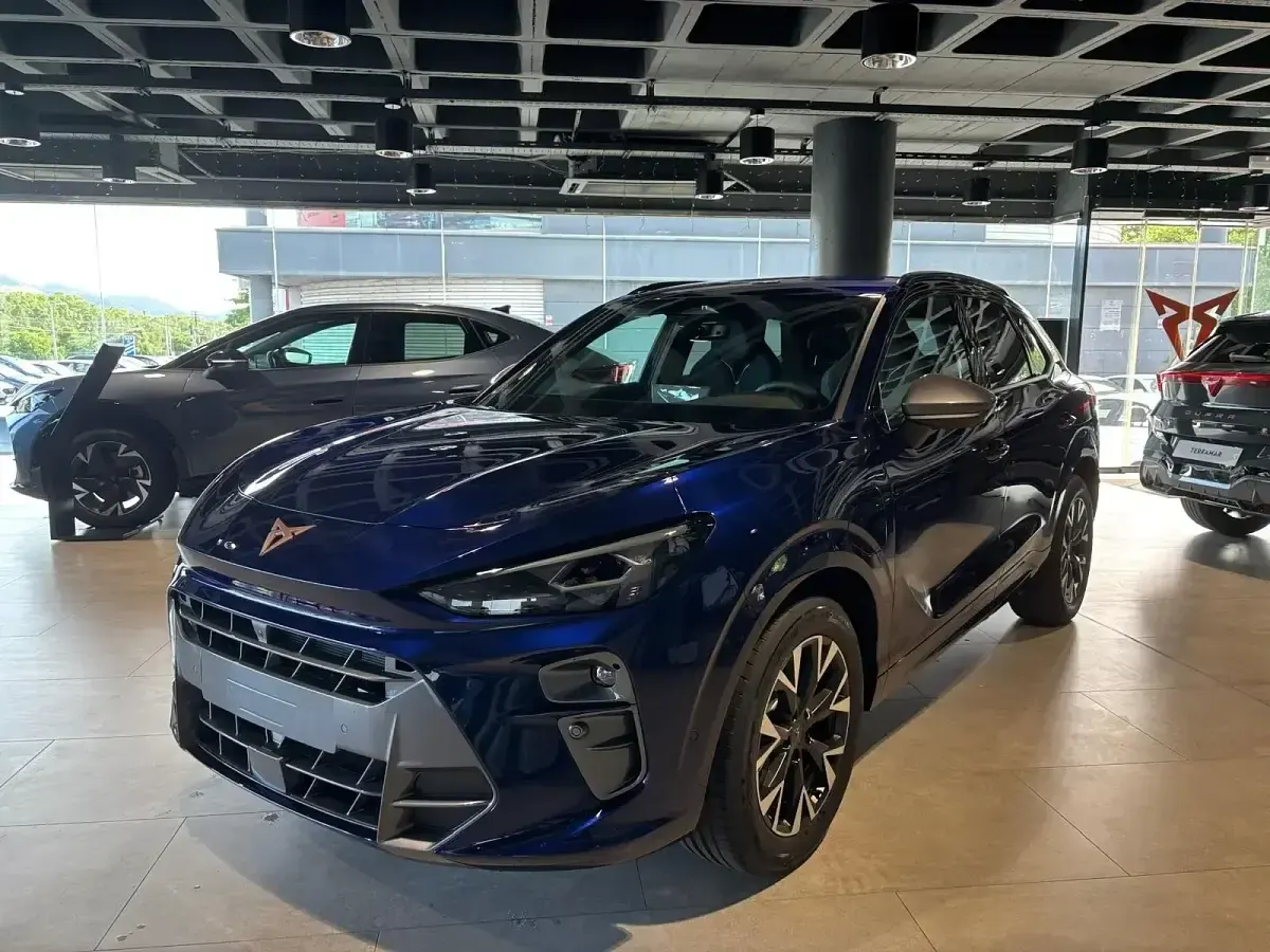 Usado Cupra Terramar 204 CV (150 kW) 2024 Azul SUV