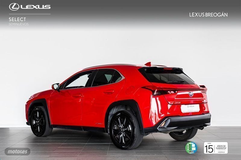 Usado Lexus UX 250h Business Edition 184 CV (135 kW) 2020 Rojo SUV