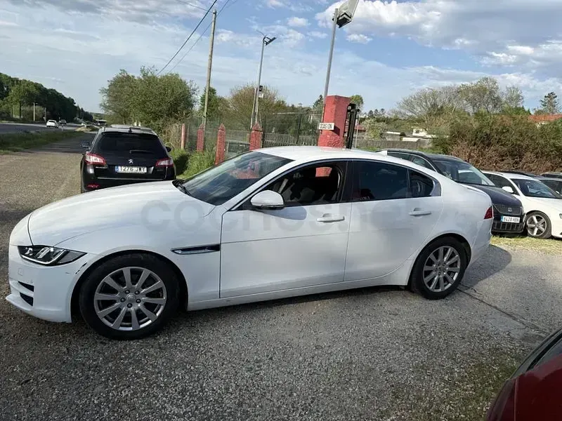 Usado Jaguar XE R-Sport 180 CV (132 kW) 2015 Blanco Berlina