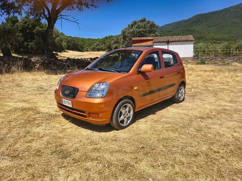 Usado Kia Picanto LX 65 CV (47 kW) 2005 Naranja Utilitario