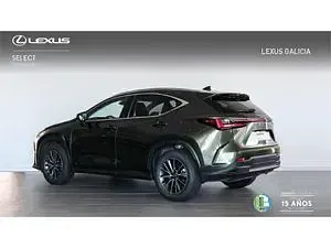 Usado Lexus NX450h+ 292 CV (214 kW) 2026 Verde SUV