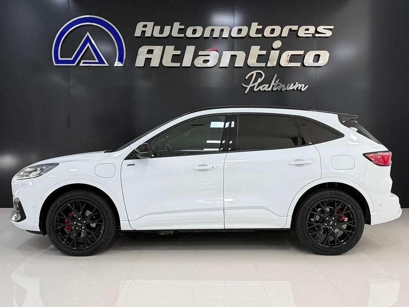 Usado Ford Kuga ST-Line 224 CV (164 kW) 2023 Blanco SUV