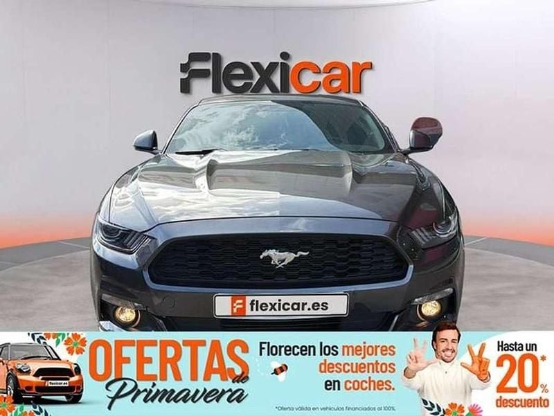 Usado Ford Mustang Fastback 314 CV (230 kW) 2017 Gris Coupe