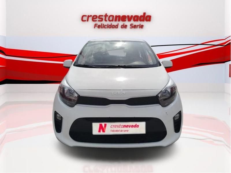 Usado Kia Picanto 67 CV (49 kW) 2020 Blanco Utilitario