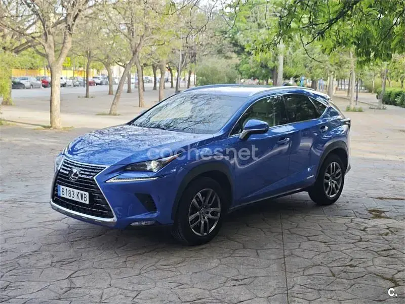 Usado Lexus NX300h Executive Line 197 CV (144 kW) 2019 Azul SUV