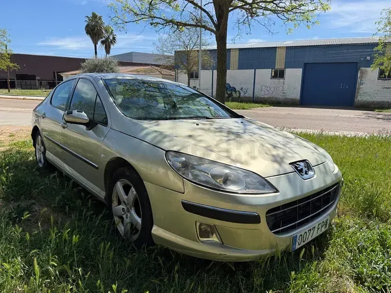 Usado Peugeot 407 Premium 136 CV (100 kW) 2007 Beige Berlina