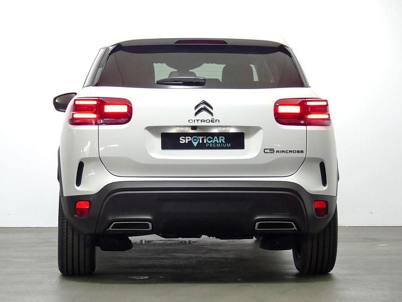 Usado Citroën C5 Aircross Feel 131 CV (96 kW) 2023 Blanco SUV