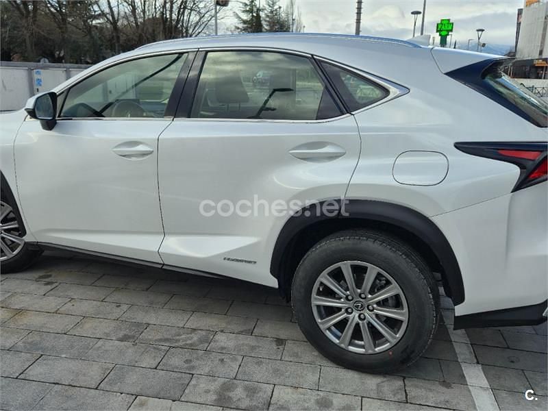 Usado Lexus NX300h Business Edition 197 CV (144 kW) 2020 Negro SUV
