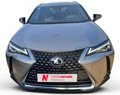 Usado Lexus UX Business Edition 184 CV (135 kW) 2022 Gris SUV