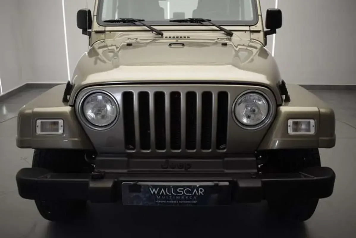 Usado Jeep Wrangler 147 CV (108 kW) 2003 Marrón SUV