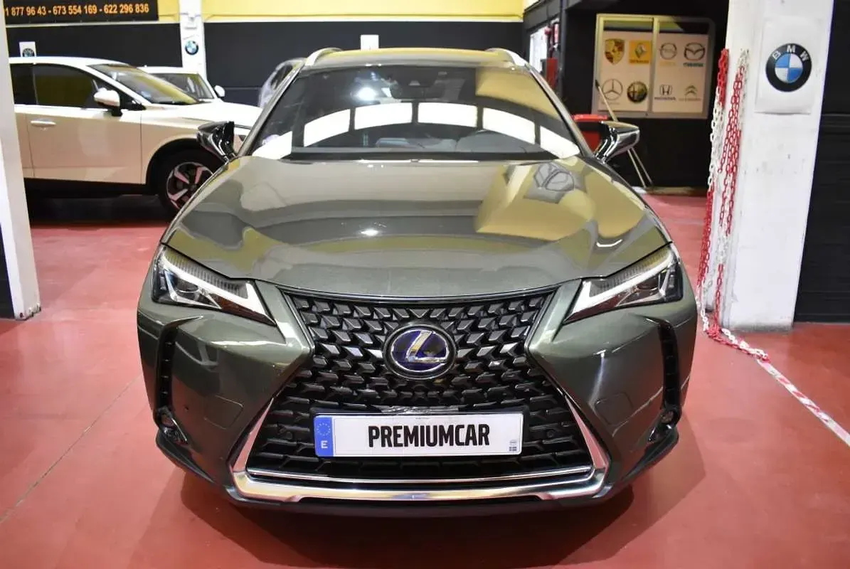 Usado Lexus UX 250h Executive Line 184 CV (135 kW) 2022 Verde SUV