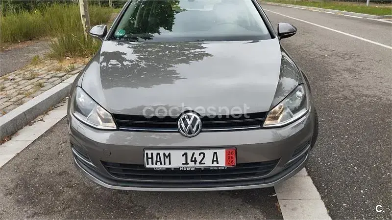 Usado VW Golf Sportsvan Advance 110 CV (80 kW) 2014 Gris / plata Monovolumen