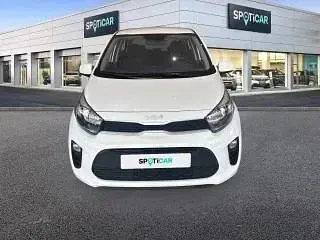 Brugt Kia Picanto 67 HK (49 kW) 2023 Hvid Hatchback