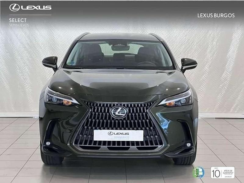 Usado Lexus NX350h 243 CV (178 kW) 2025 Verde SUV