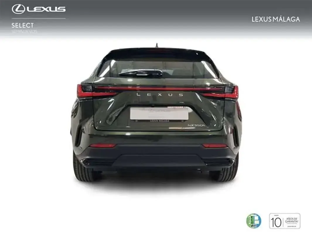 Nuevo Lexus NX350h 242 CV (177 kW) 2026 Verde SUV