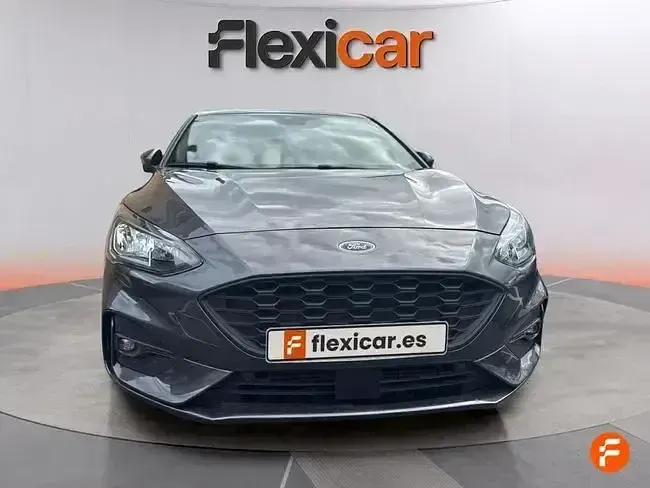 Usado Ford Focus ST-Line 125 CV (91 kW) 2019 Gris