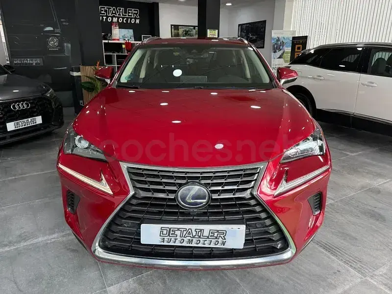 Usado Lexus NX300h Business Edition 197 CV (144 kW) 2019 Rojo SUV