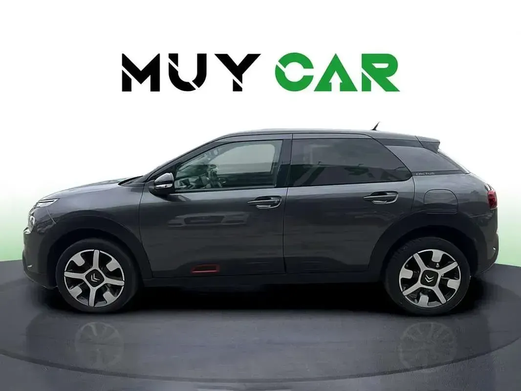 Usado Citroën C4 Cactus Live 99 CV (72 kW) 2019 Gris Utilitario