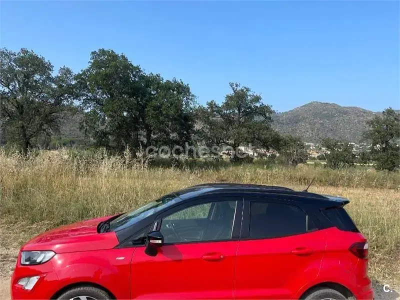 Usado Ford Ecosport ST-Line 125 CV (91 kW) 2018 Rojo SUV