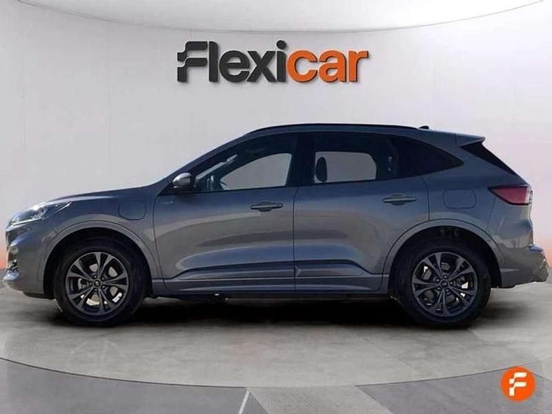 Usado Ford Kuga ST-Line 225 CV (165 kW) 2022 Gris SUV