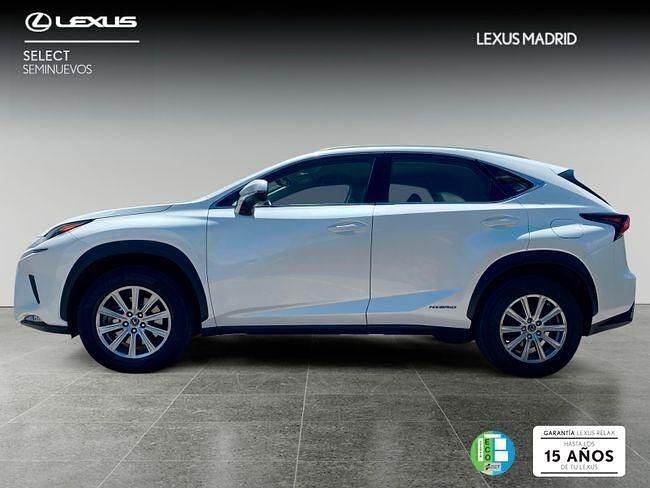 Usado Lexus NX300h Business Edition 197 CV (144 kW) 2018 Blanco SUV