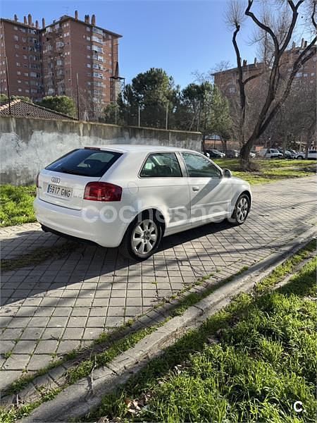 Usado Audi A3 105 CV (77 kW) 2009 Blanco Utilitario