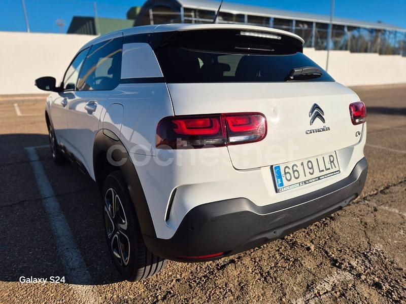 Usado Citroën C4 Cactus Shine 100 CV (73 kW) 2020 Blanco Utilitario