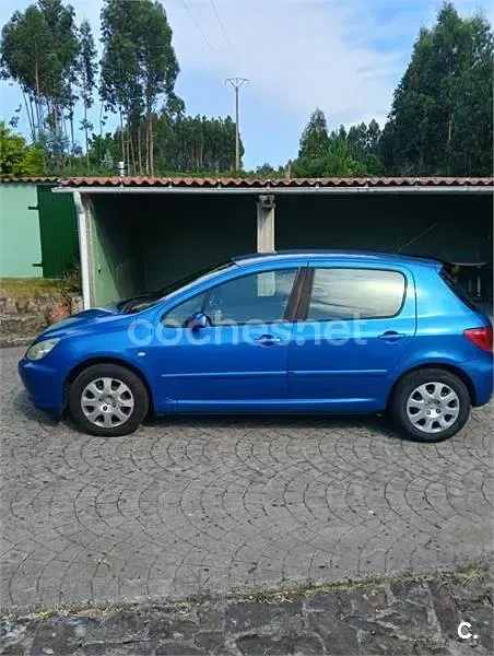 Usado Peugeot 307 110 CV (80 kW) 2005 Azul Berlina