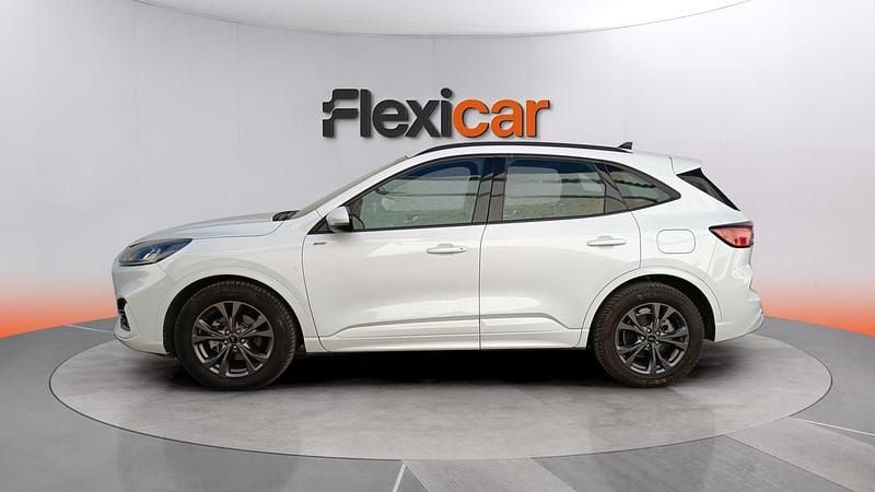 Usado Ford Kuga ST-Line 150 CV (110 kW) 2023 Blanco SUV