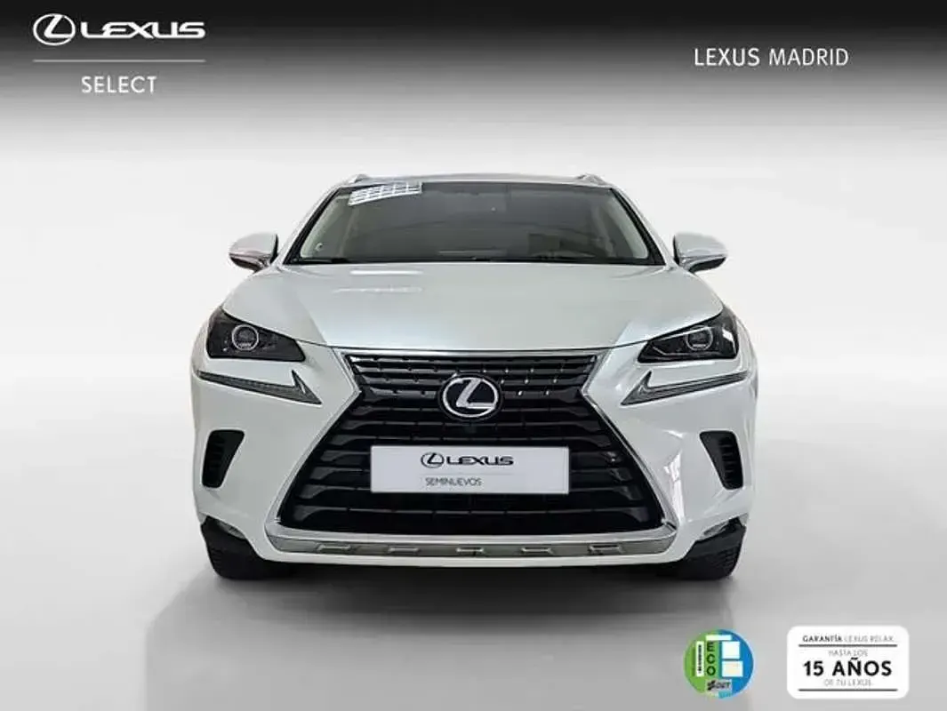 Usado Lexus NX300h Business Edition 197 CV (144 kW) 2019 Blanco SUV