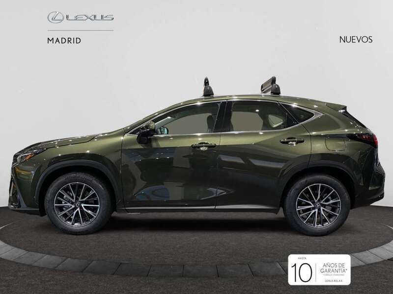 Nuevo Lexus NX350h Business Edition 242 CV (177 kW) 2025 Verde SUV
