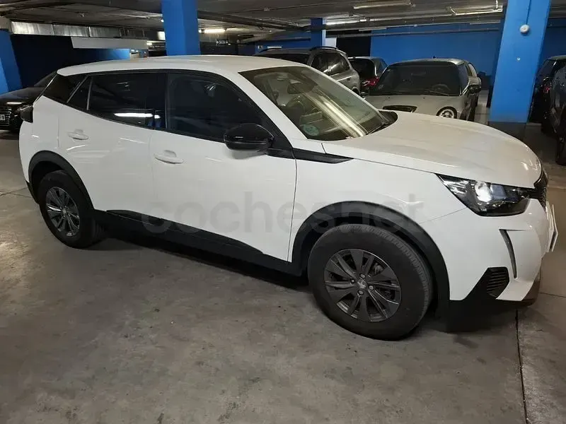Usado Peugeot 2008 Active 110 CV (80 kW) 2022 Blanco SUV