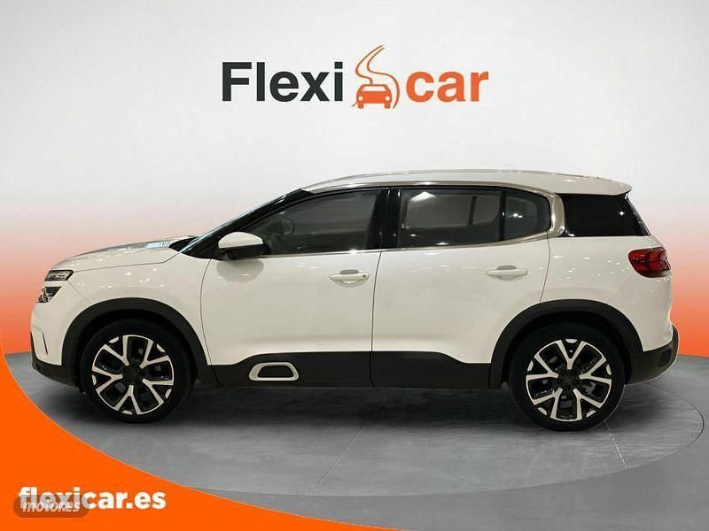 Usado Citroën C5 Aircross Live 131 CV (96 kW) 2019 Blanco SUV