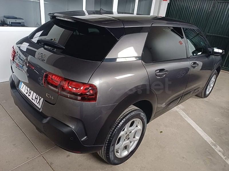 Usado Citroën C4 Cactus Shine 102 CV (75 kW) 2020 Gris / plata Utilitario