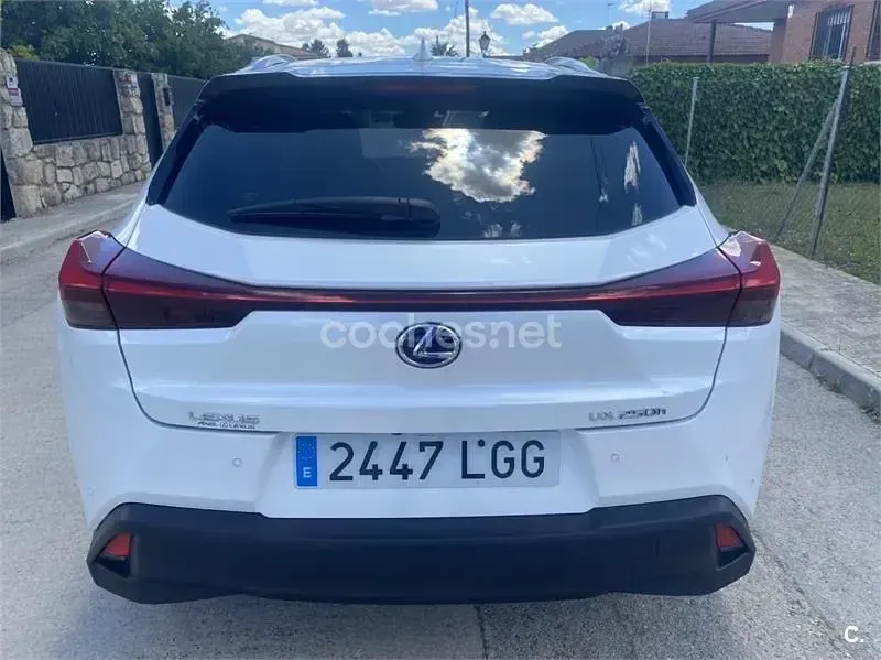 Usado Lexus UX Sport Line 184 CV (135 kW) 2020 Blanco SUV