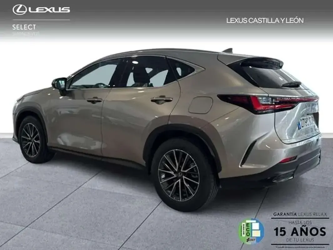 Usado Lexus NX450h+ 306 CV (225 kW) 2025 Gris SUV