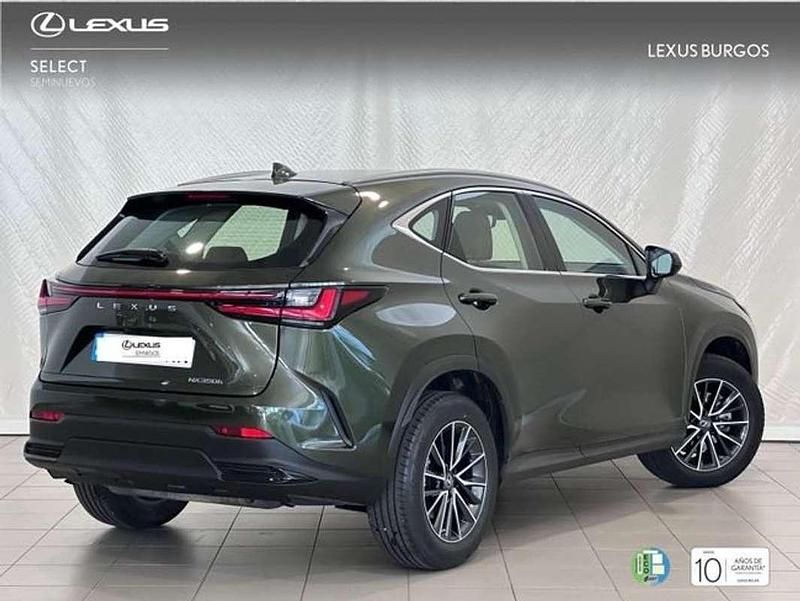Usado Lexus NX350h 243 CV (178 kW) 2025 Verde SUV