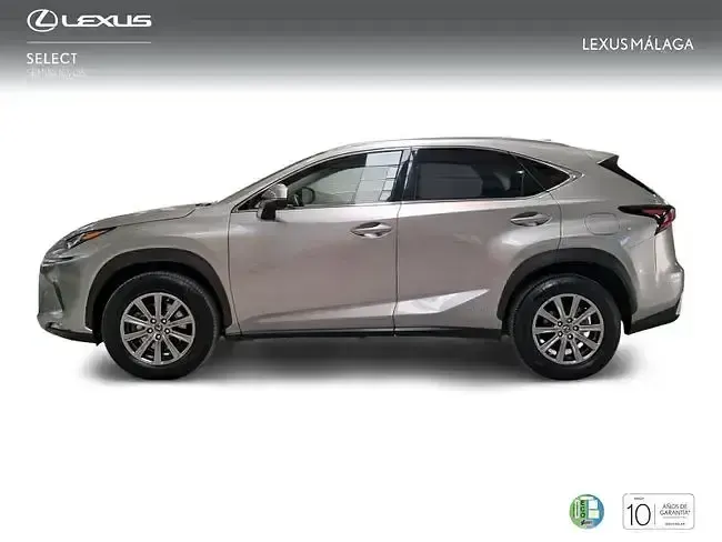 Usado Lexus NX300h Business Edition 197 CV (144 kW) 2018 Gris SUV