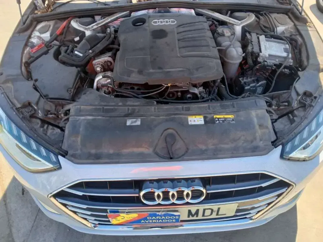 Usado Audi A4 Advanced 163 CV (119 kW) 2023 Blanco Familiar