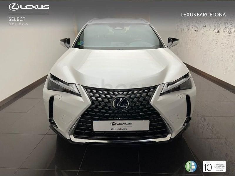 Usado Lexus UX 199 CV (146 kW) 2025 Blanco SUV